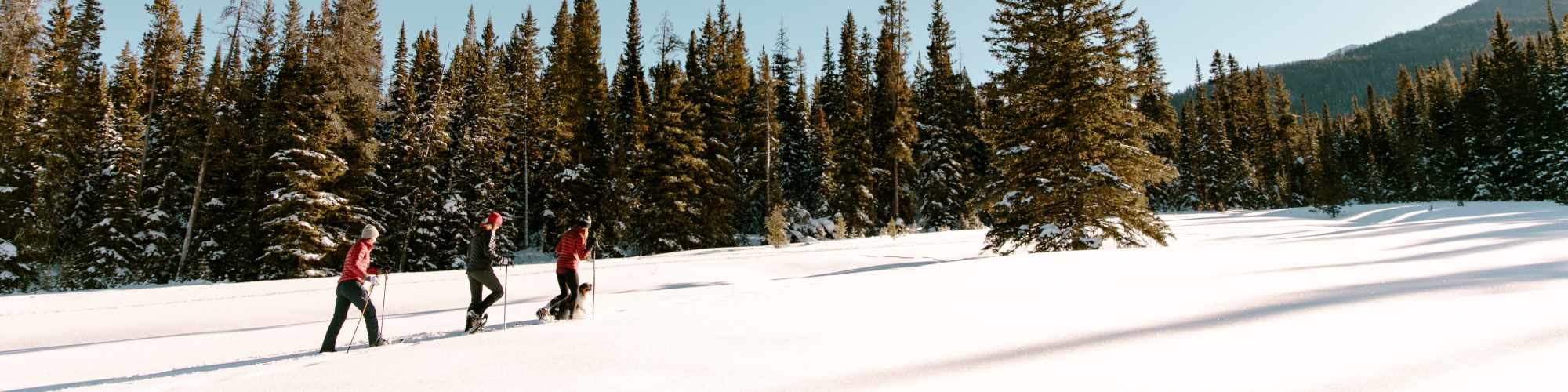 Floor Plans | The Kestrel in Bozeman, Montana