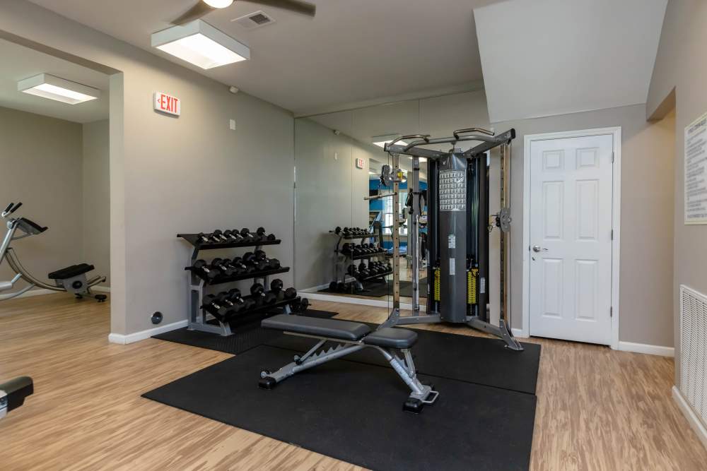 Fitness center with various equipements at Camellia in Raleigh, North Carolina