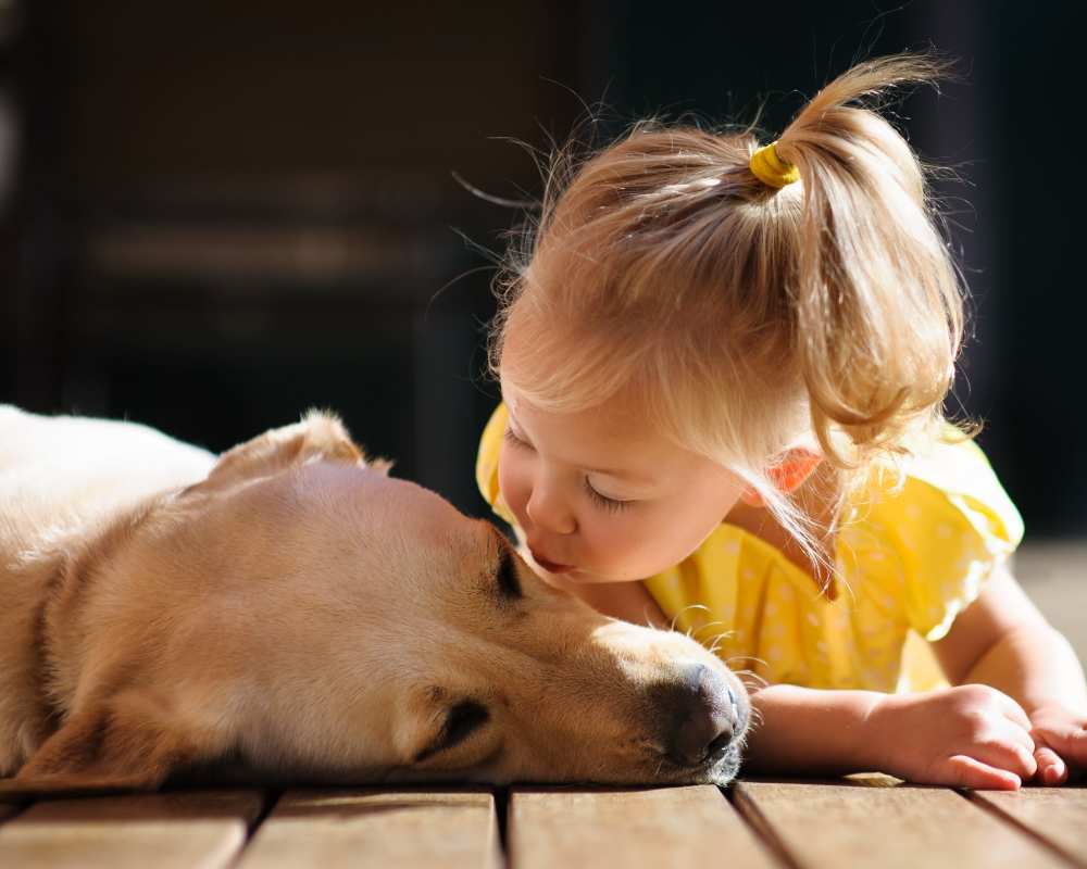 Pet-friendly community at University Commons in Williston, North Dakota