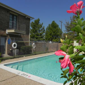Sparkling community pool at Highlands of Grand Prairie in Grand Prairie, Texas