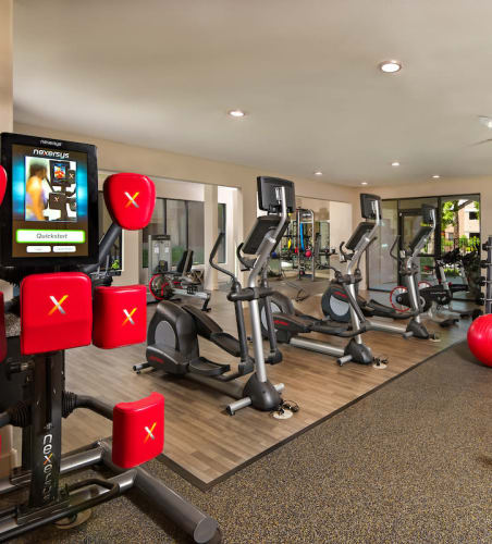 Fitness center at The Palisades at Paradise Valley Mall