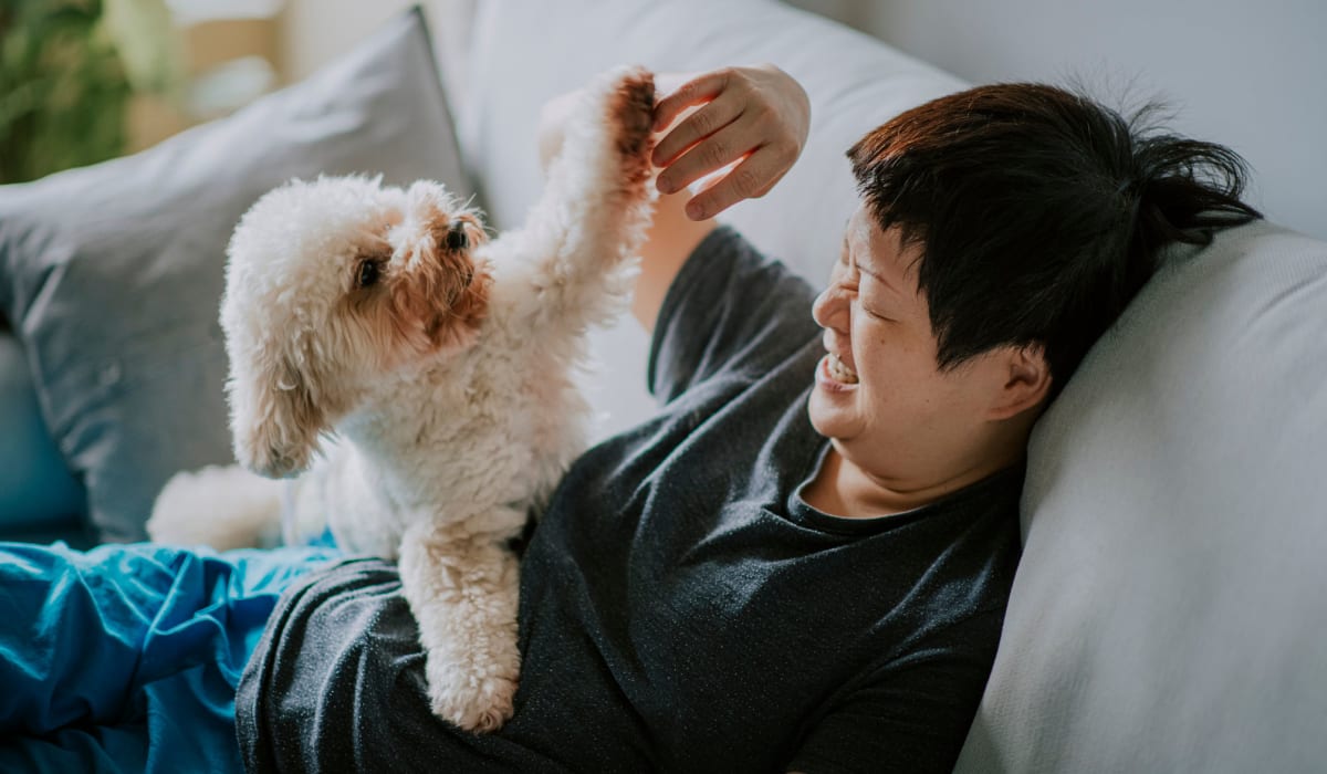 Person playing with their dog on the couch at The Collection Townhomes in Dallas, Texas