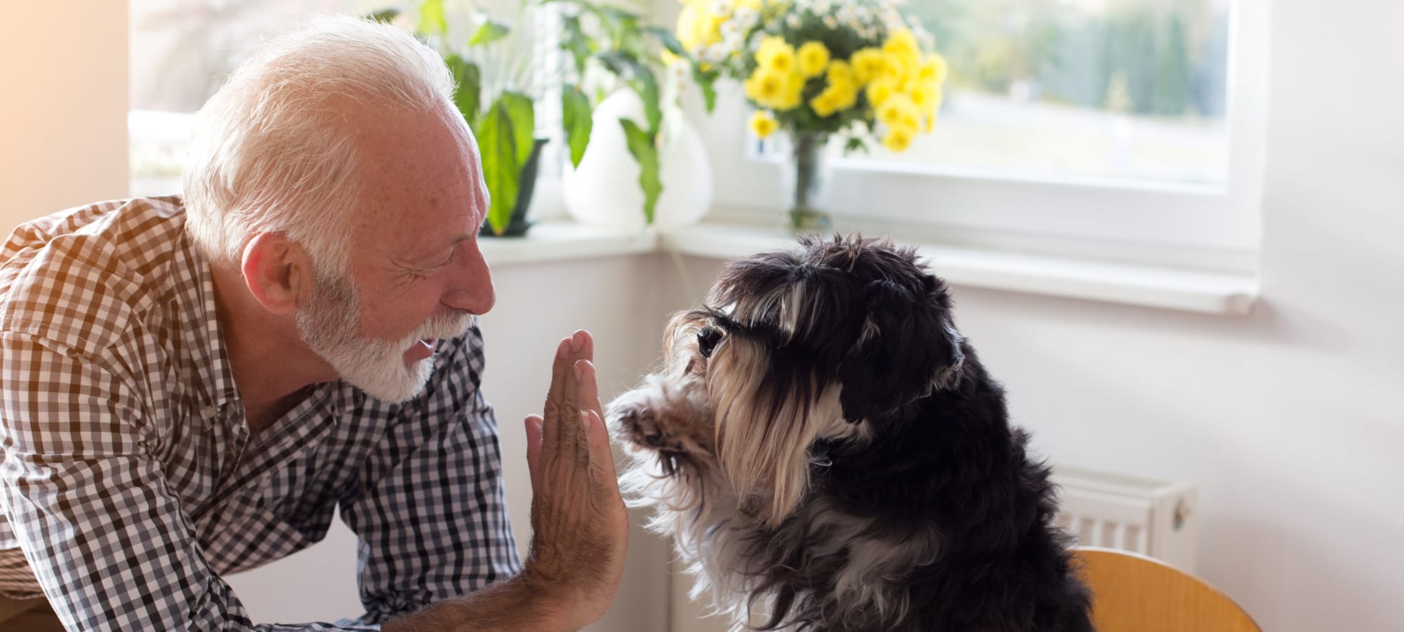 Assisted living in Bethesda, Maryland at Meridian Senior Living