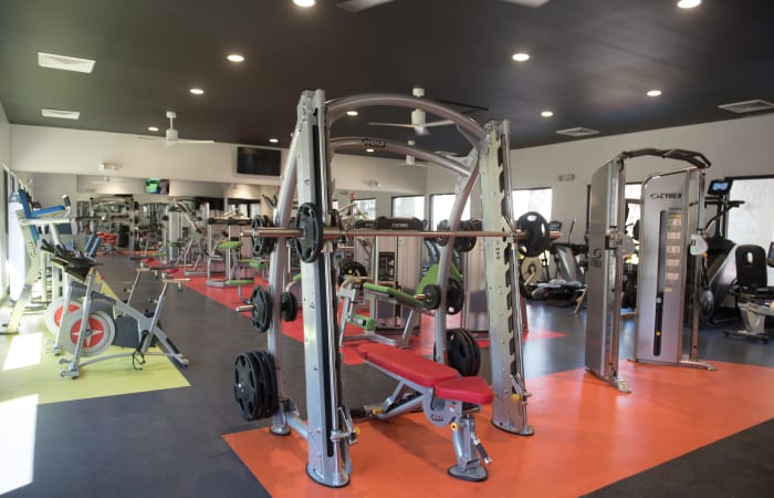 Full fitness center for residents to work out in at The Ivy in Tampa, Florida