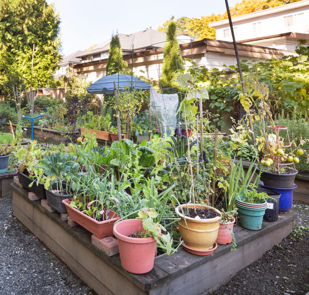 Garden area at Larchway Gardens in Vancouver, British Columbia