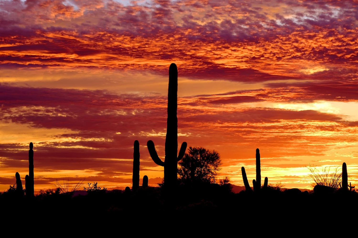 Beautiful sunsets at Casa Santa Fe Apartments in Scottsdale, Arizona