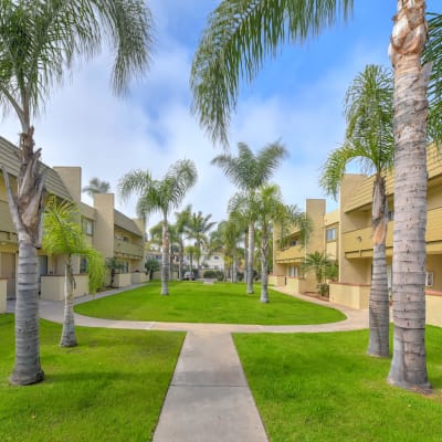 Beautifully grassy area at Royal Village Apartments in San Diego, California