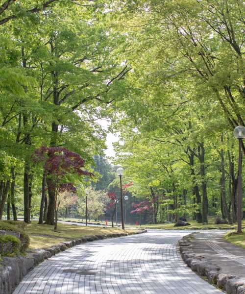 Park near Crossroads Meadow in Ebensburg, Pennsylvania