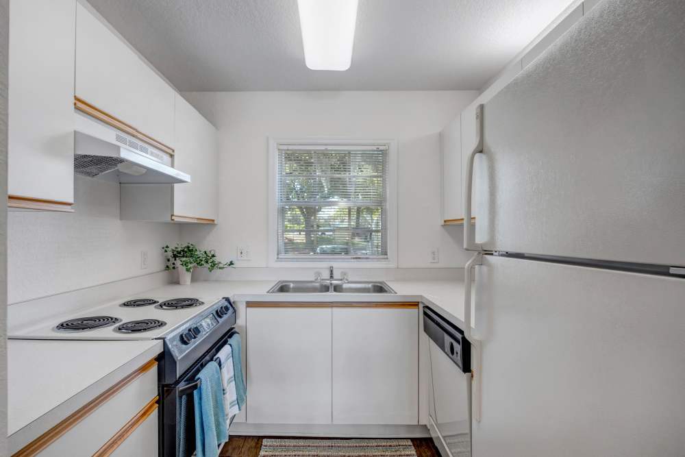 Modern kitchen with white appliances  and profile handles at Carlton Arms Of Ocala in Ocala, Florida