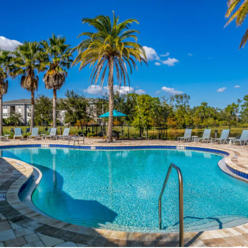 Gorgeous swimming pool at Goldelm at Bennett Park in Bradenton, Florida