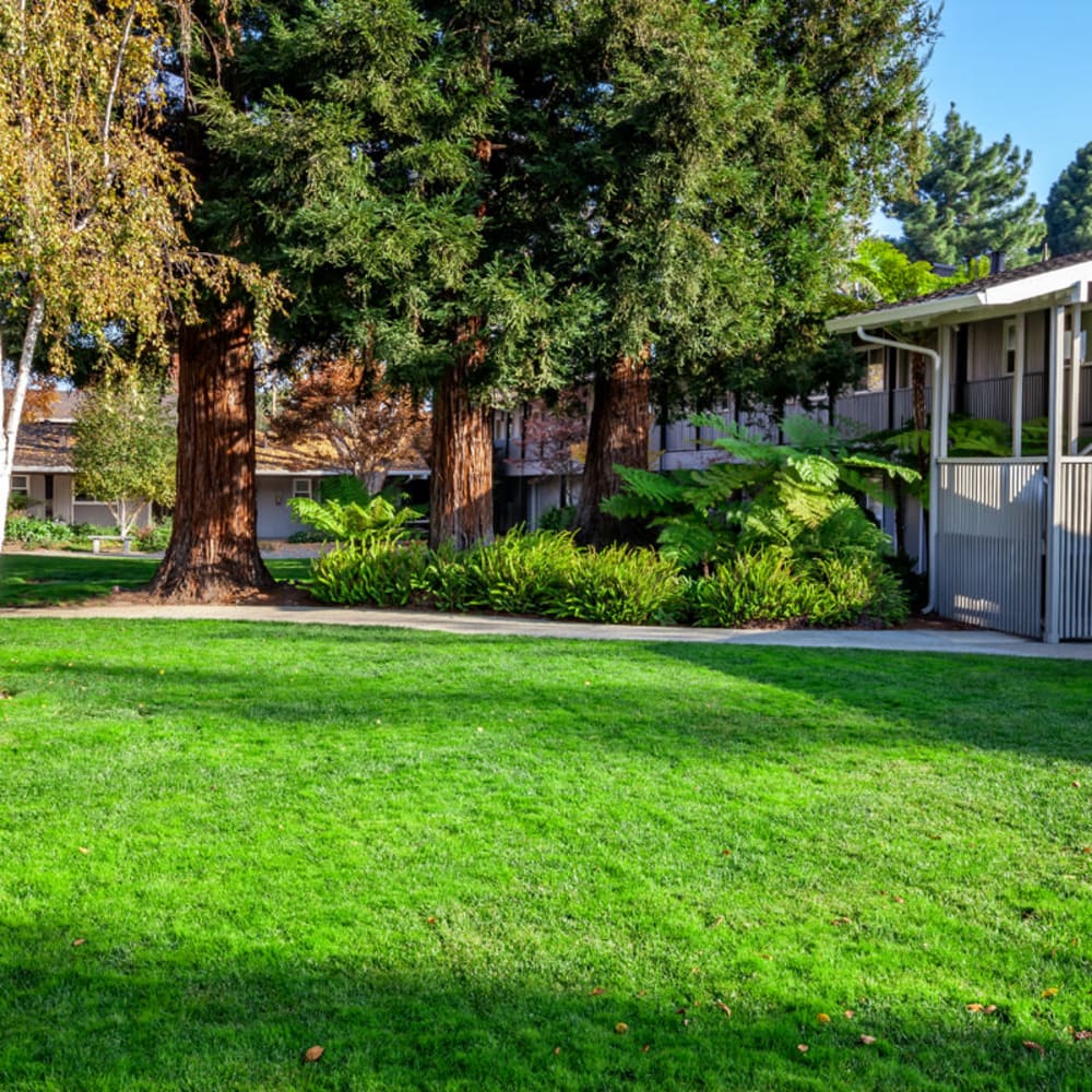 Courtyard at Parkwood Apartments in Sunnyvale, California