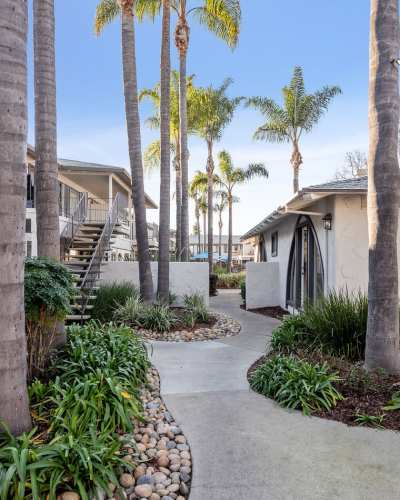 Palm tree lined pathway at Cielo Apartment Homes, Campbell, California