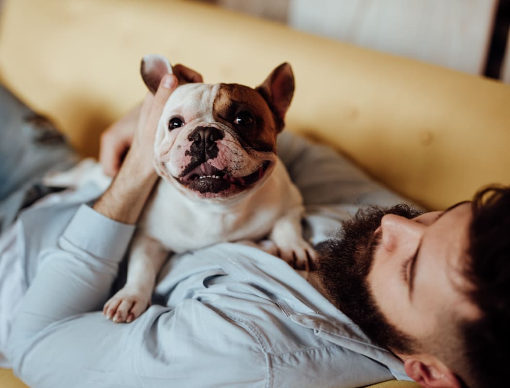 Dog laying on the couch with his owner at Del Coronado Apartments in Alameda, California