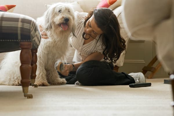 Have fun with your pets at 8 Silver Maple Court in Brampton, ON