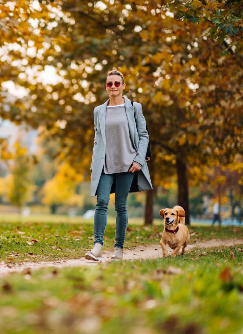 Pet fees at Sabina in Austin, Texas