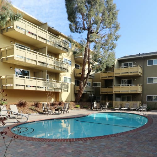 Swimming pool at Bayfair Apartments in San Lorenzo, California