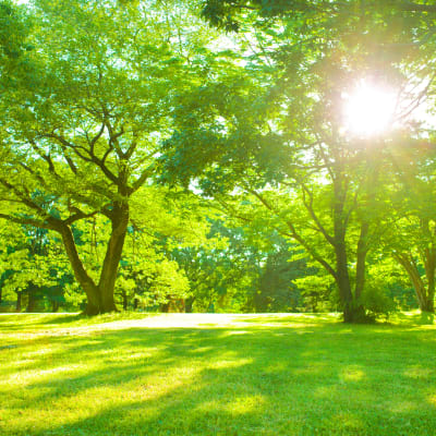 A local park near Madigan in Joint Base Lewis McChord, Washington