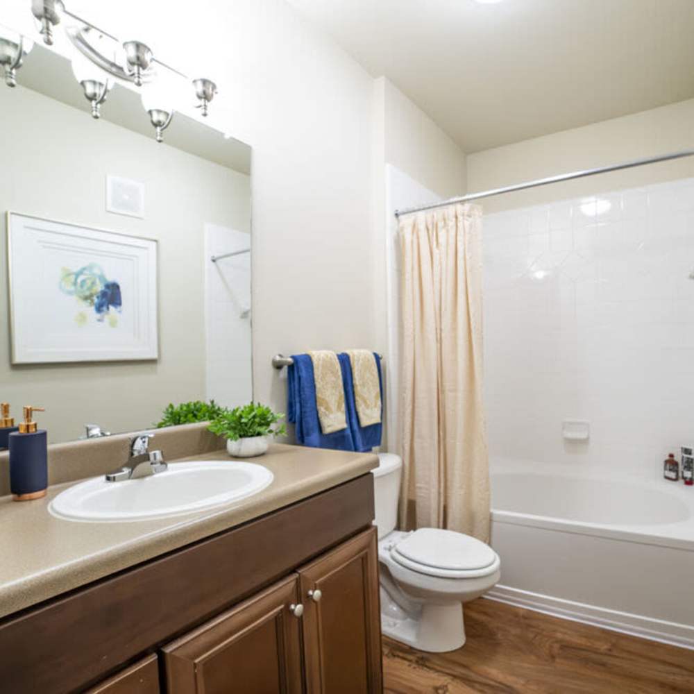 Bathroom at Avonlea Towne Lake in Woodstock, Georgia