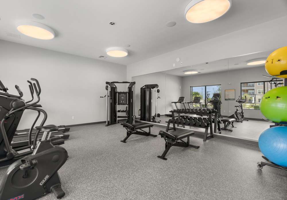 Fitness center with strength equipment at Walnut Springs in Seguin, Texas