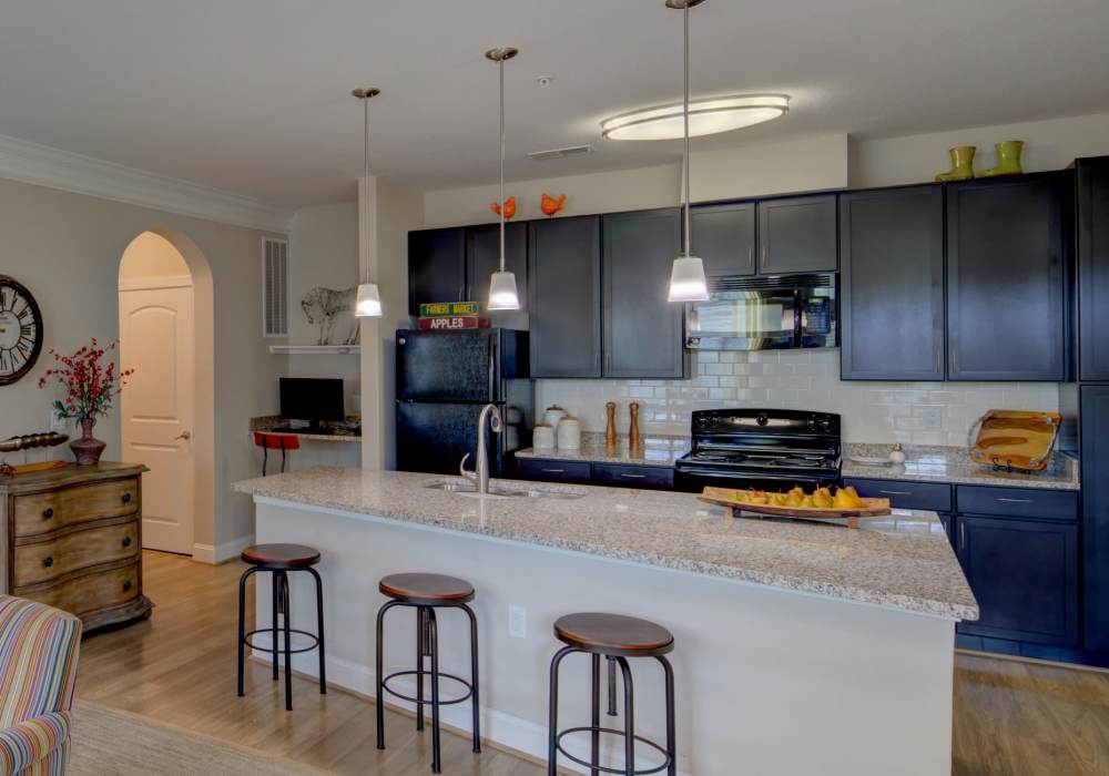View of the kitchen and the breakfast counter at Red Knot at Edinburgh in Chesapeake, Virginia
