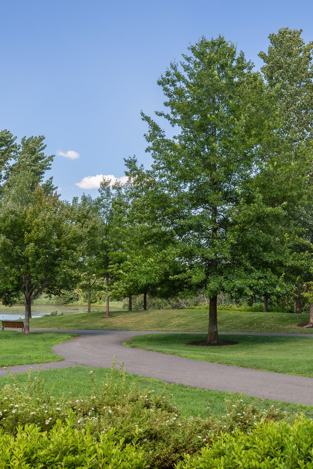 Park near Arcadia at Rivers Edge in Medford, Massachusetts