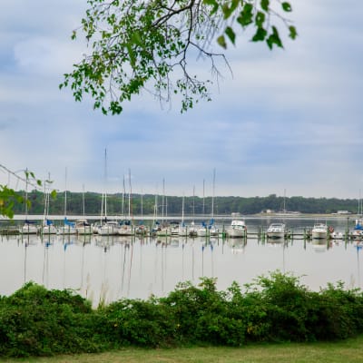 Marina, boat yard near Sampson Road in Dahlgren, Virginia