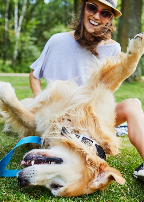 Resident pup outside on a beautiful day at Mill Springs Park Apartment Homes in Livermore, California