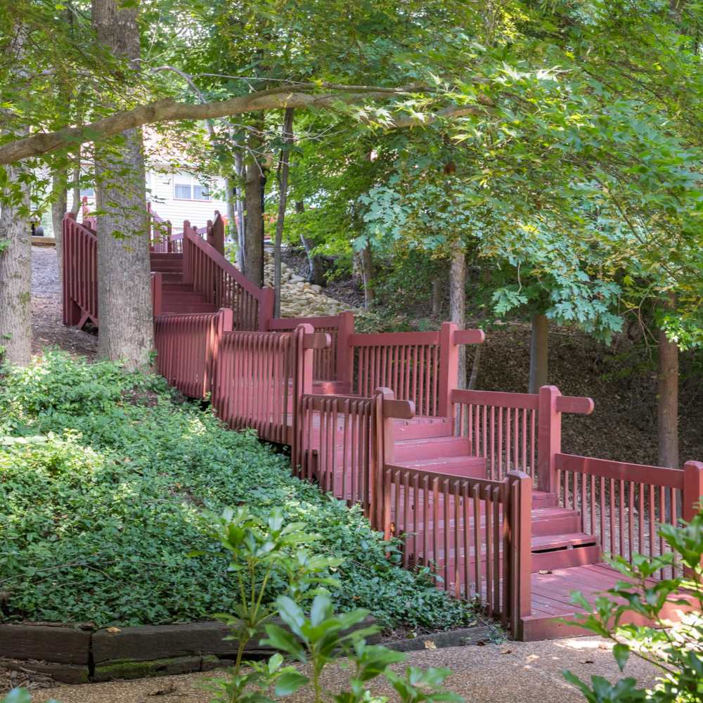 A beautiful view of the stairs at Park Canyon in Dalton, Georgia