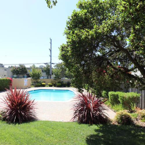 Swimming pool at Marina Plaza Apartments in San Leandro, California