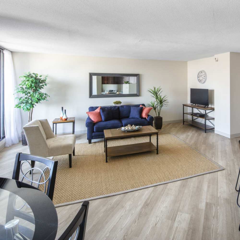 Living room with wood-style flooring at Skyview Downtown in Springfield, Massachusetts