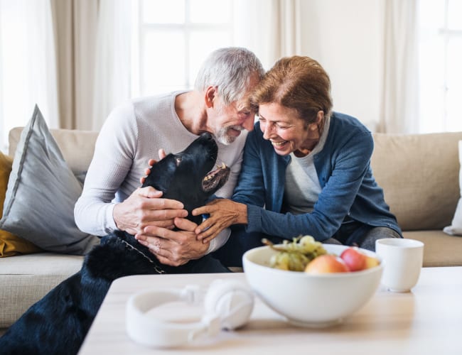 Independent Living at Willows Bend Senior Living in Fridley, Minnesota