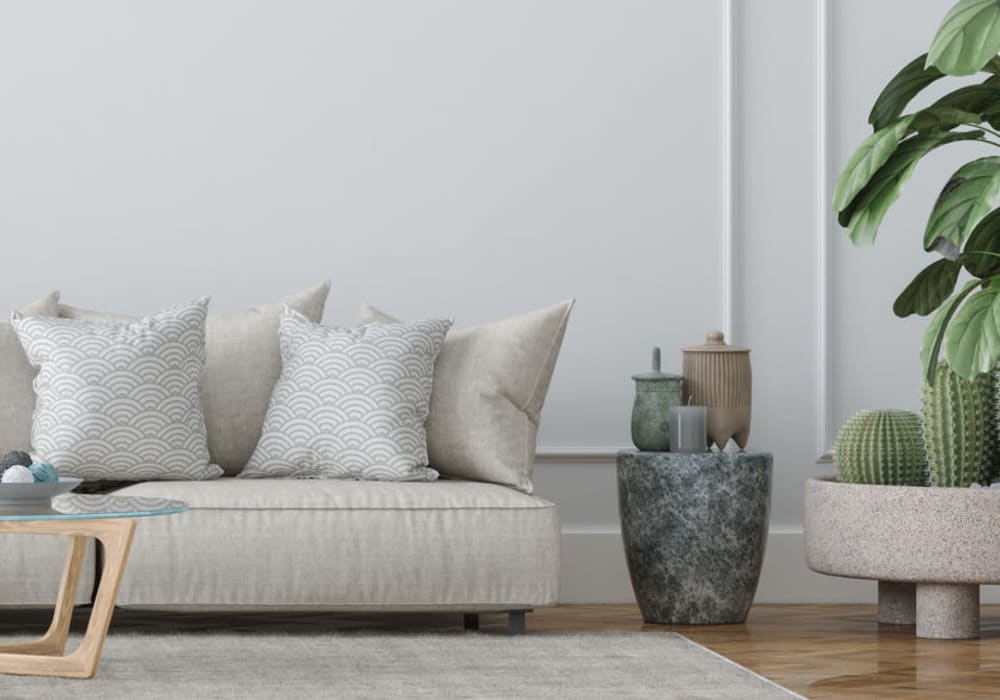 Sleek living room with sofa and potted cactus at Shalimar at Plantation in Plantation, Florida