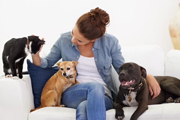 Pet Friendly apartments at The Atlantic Sweetwater