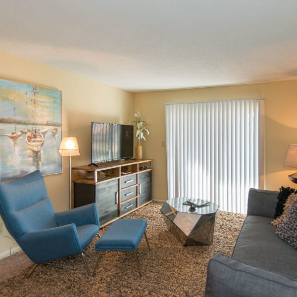 Spacious apartment at The Amber at Greenbrier, Chesapeake, Virginia