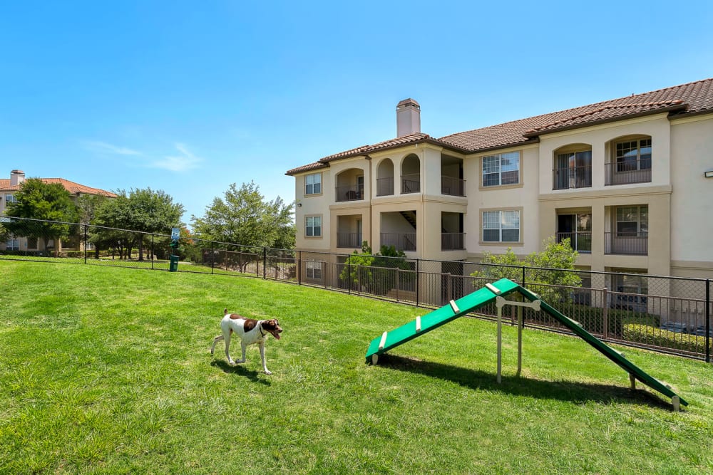 Dog park at Mira Vista at La Cantera