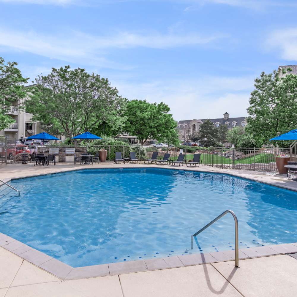 Swimming pool with greenery around at One Belmar Place in Lakewood, Colorado