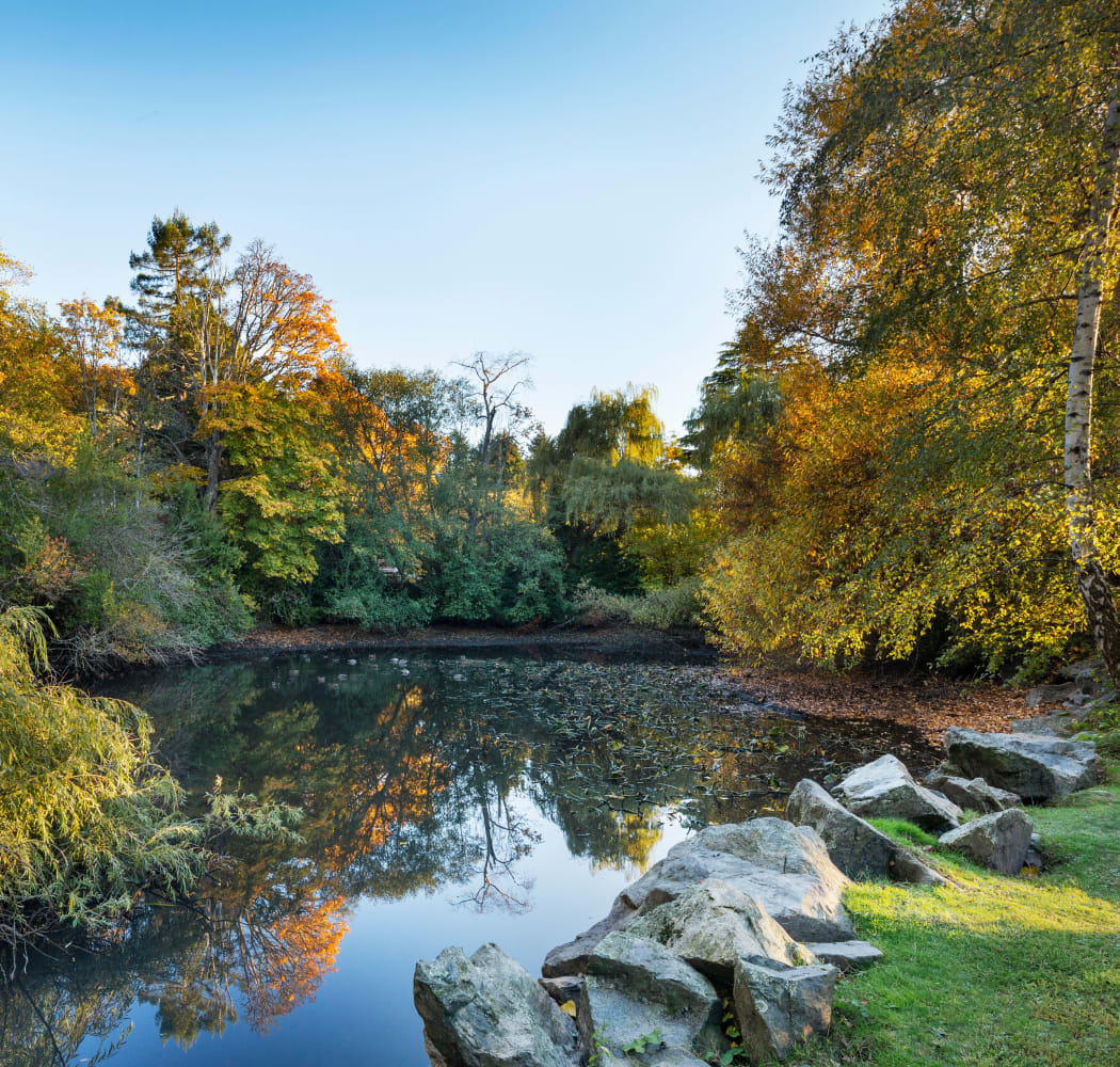 Pretty pond at Fraser Tolmie Apartments in Victoria, British Columbia