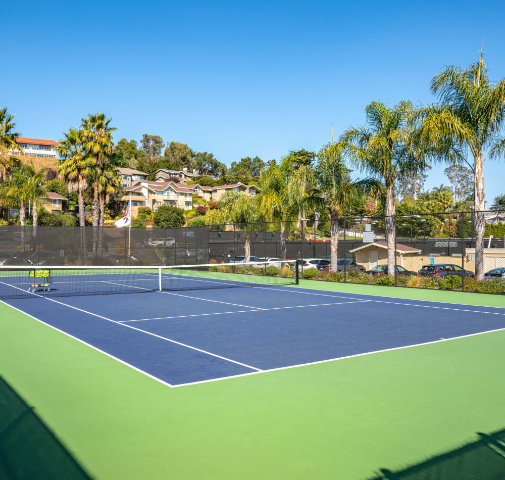 Onsite tennis courts at Harbor Point Apartments in Mill Valley, California