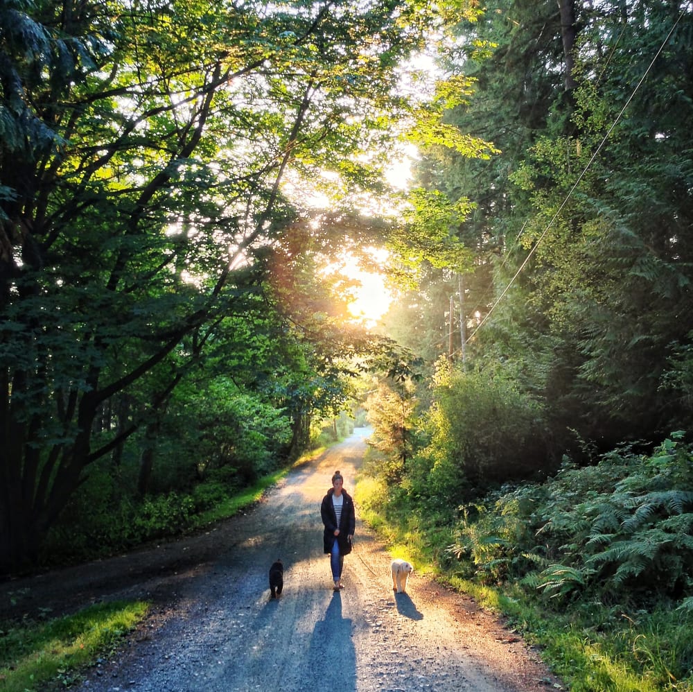 Resident walking her dogs on a trail near The Columns at Hiram in Hiram, Georgia