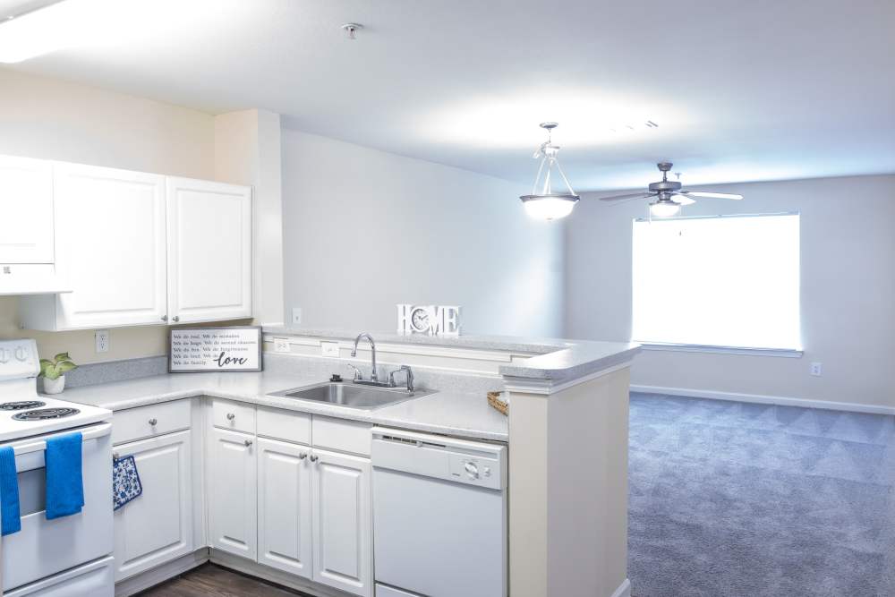 Kitchen with dishwasher and view to living room at Ashton Walk in Forest Park, Georgia