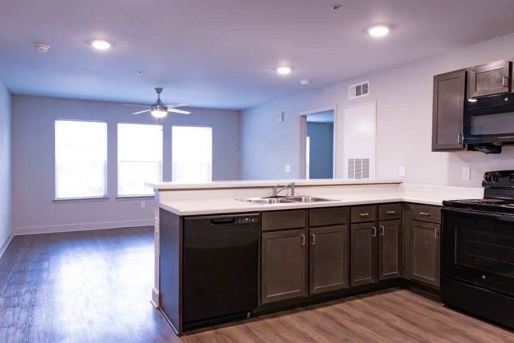 Kitchen with dishwasher, stainless-steel appliances and wood-style flooring at Villas At Mount Zion in Stockbridge, Georgia