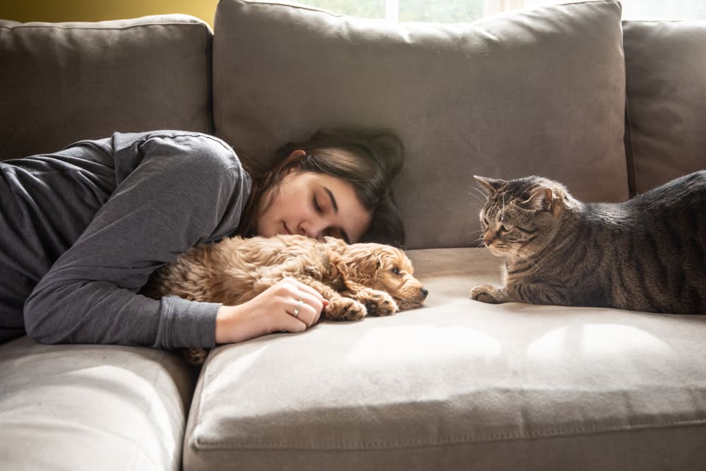 Resident with her cat loving their new life at Manassas Station Apartments in Manassas, Virginia