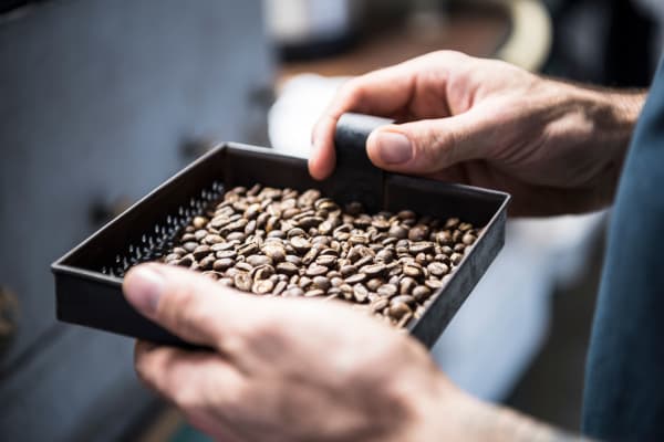 Freshly roasted coffee beans at coffee shop near Grant Park Village