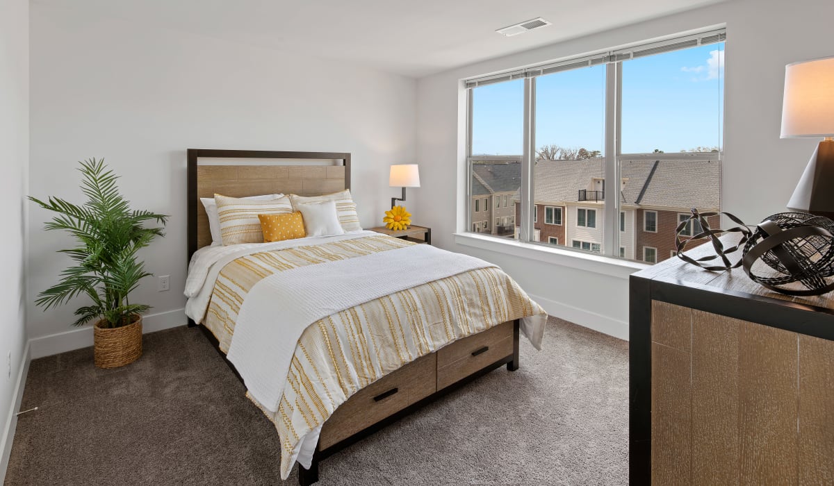 Large bedroom with natural light at 29 Central at Stonefield in Charlottesville, Virginia