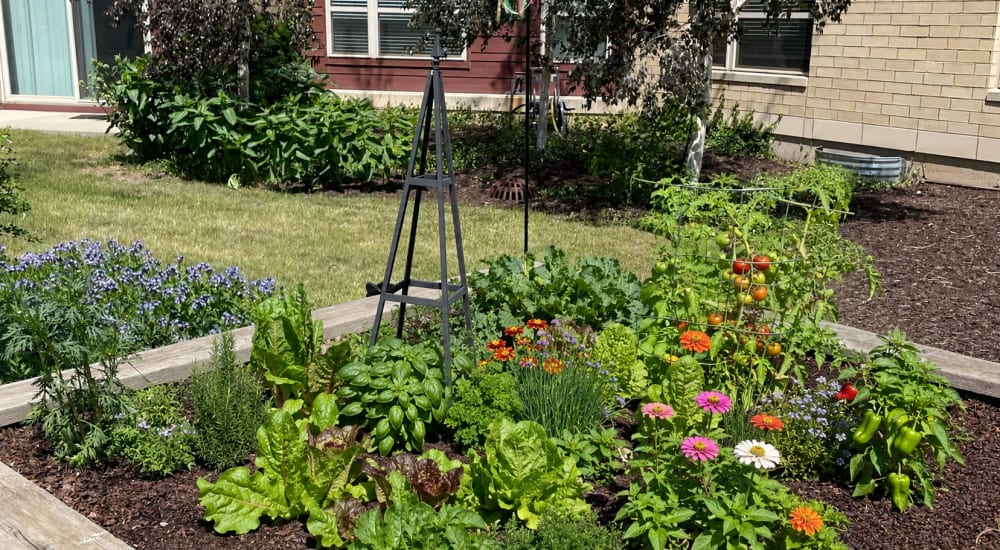 Garden bed at Novation Senior Commons in Madison, WI