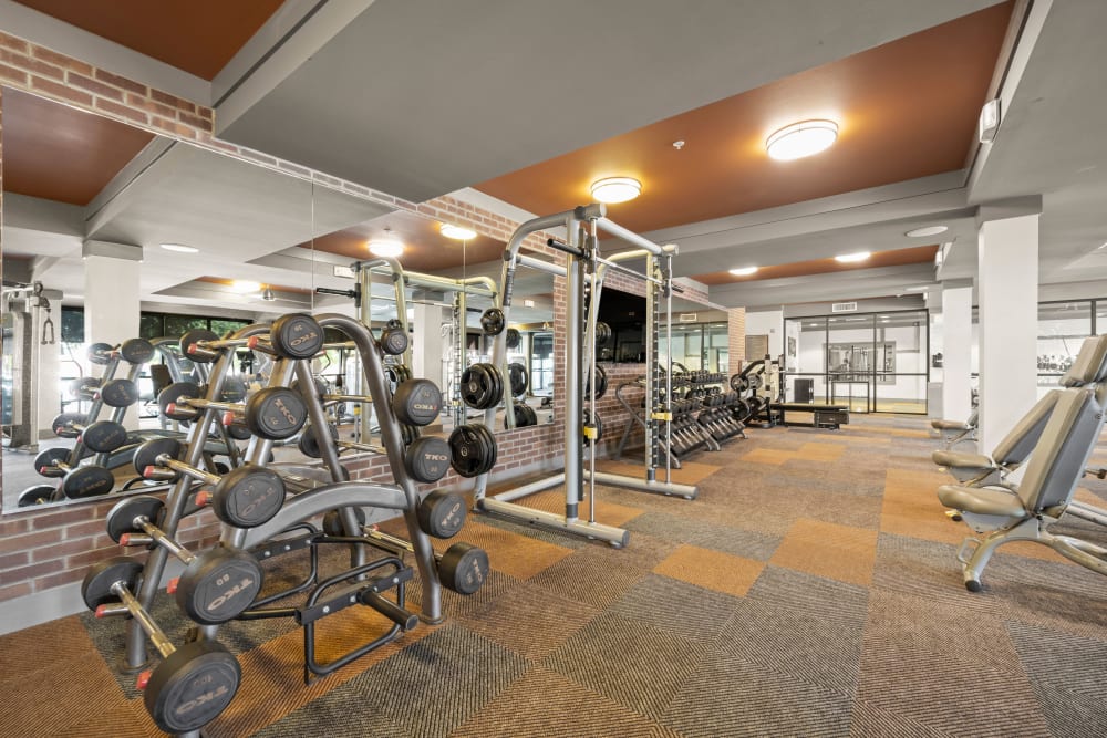 Well-equipped onsite fitness center at Olympus Steelyard in Chandler, Arizona