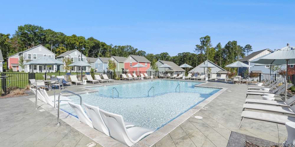 Lots of green spaces surrounding the apartments at pet friendly homes for rent build to rent community virginia Hamlet Falling Creek in Midlothian, Virginia