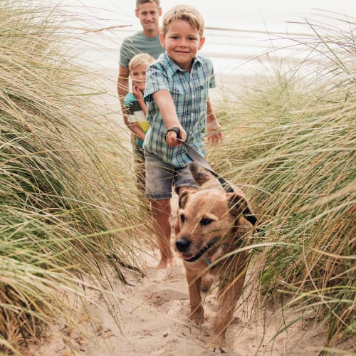 A family walking on a sandy trail with a dog near Perry Circle Apartments in Annapolis, Maryland