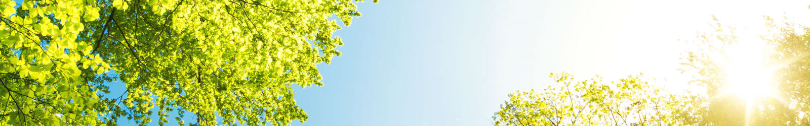 Cloverdale Park Apartments privacy policy