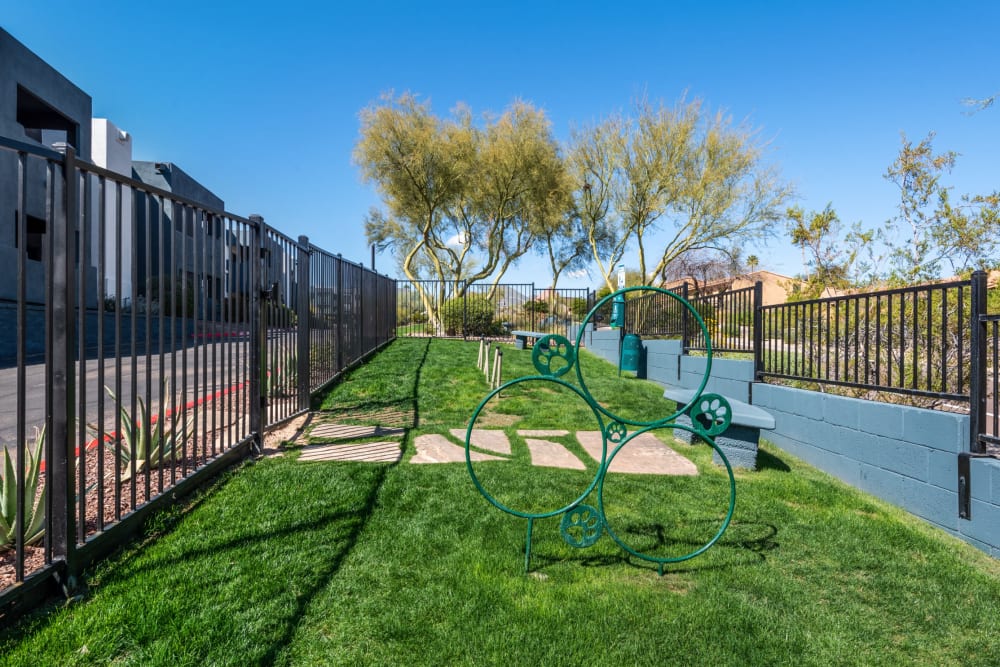Resident dog park on-site at Luna at Fountain Hills in Fountain Hills, Arizona